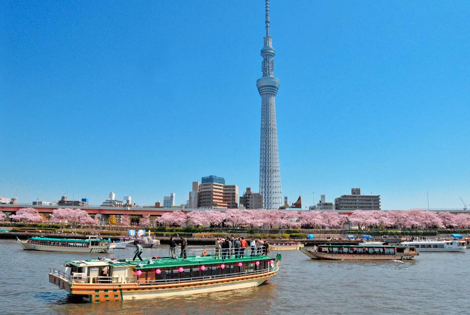 tokyo boat tours