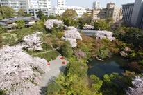 八芳園