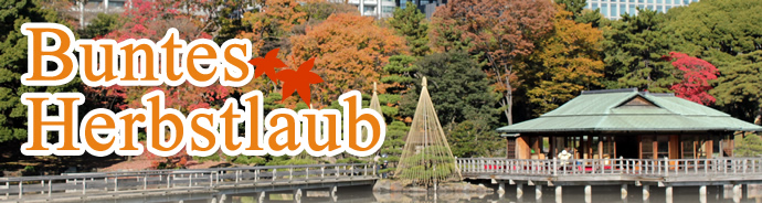 Buntes Herbstlaub