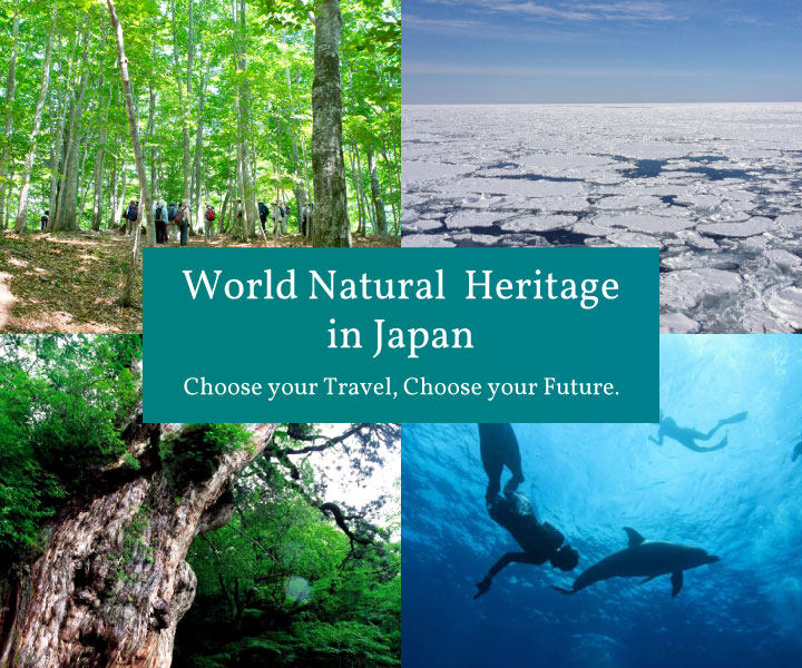 World Natural Heritage
in Japan