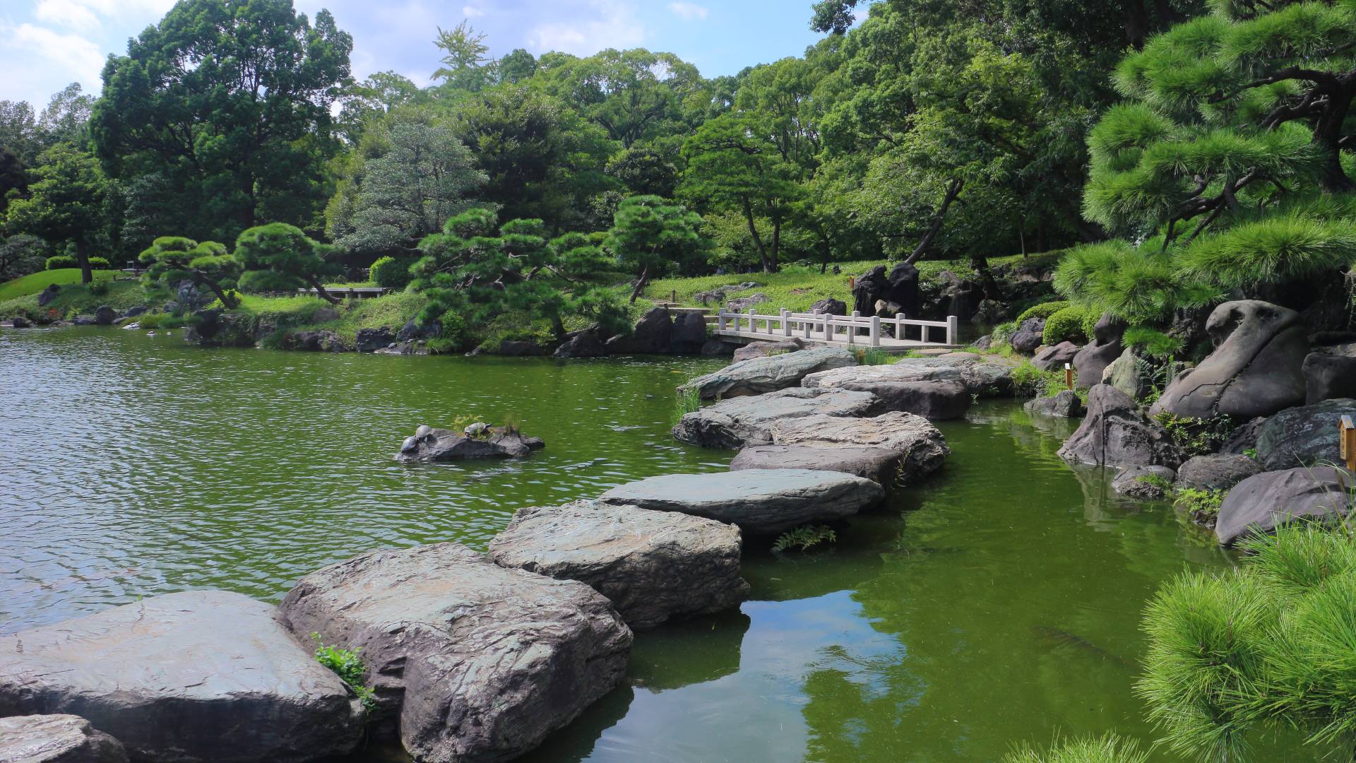 kiyosumi-shirakawa