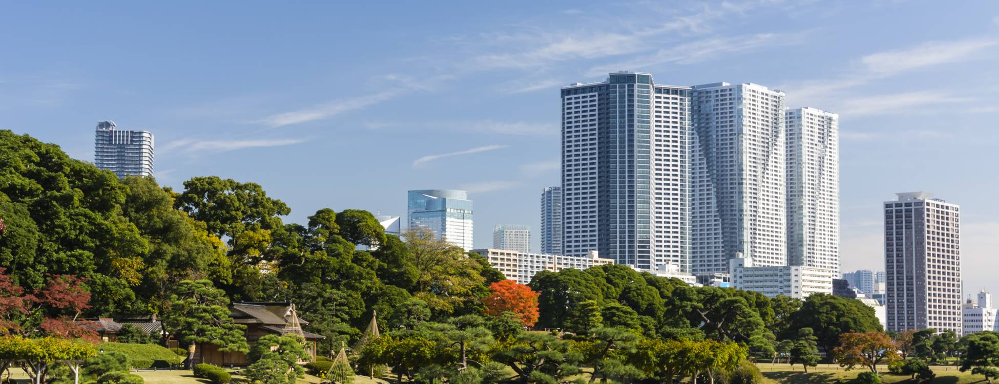 公園 庭園 東京旅遊官方網站go Tokyo