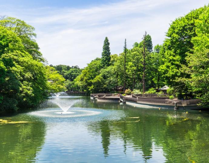 สวนสาธารณะอิโนะคาชิระ